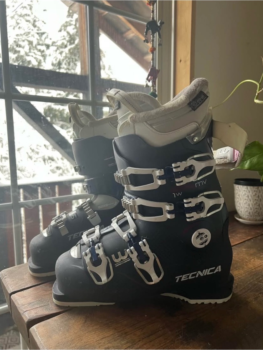 Tecnica Women's Ski Boots